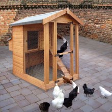 Henhouse with optional nest box